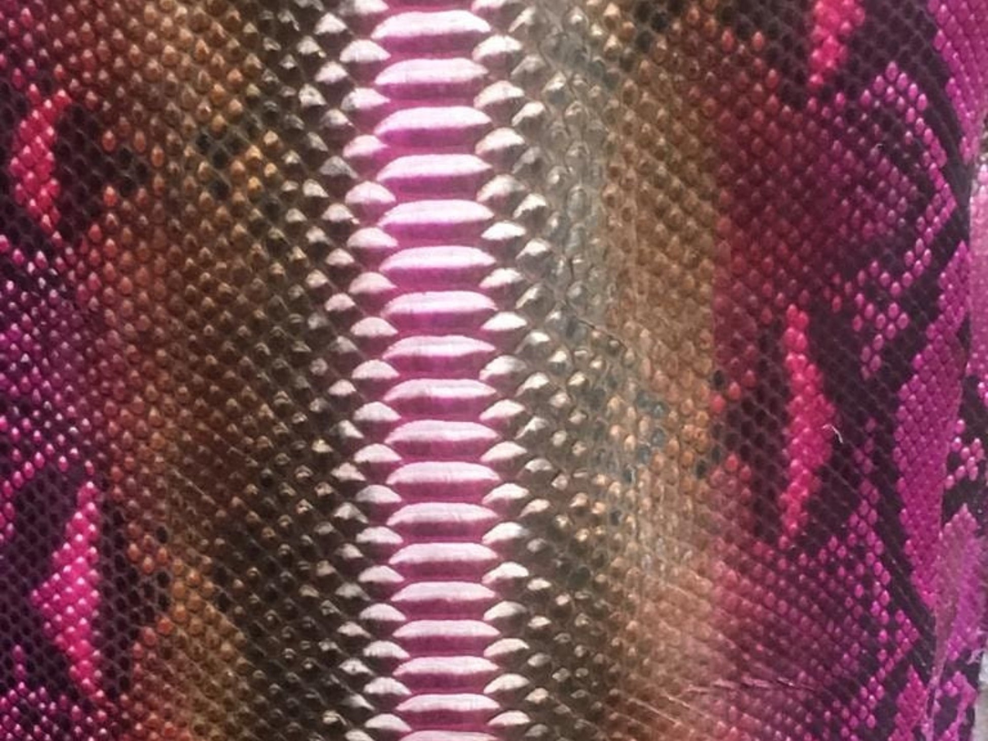 Genuine Python Snakeskin Leather Biker Jacket for Women: Pink Brown Exotic Motorcycle Jacket