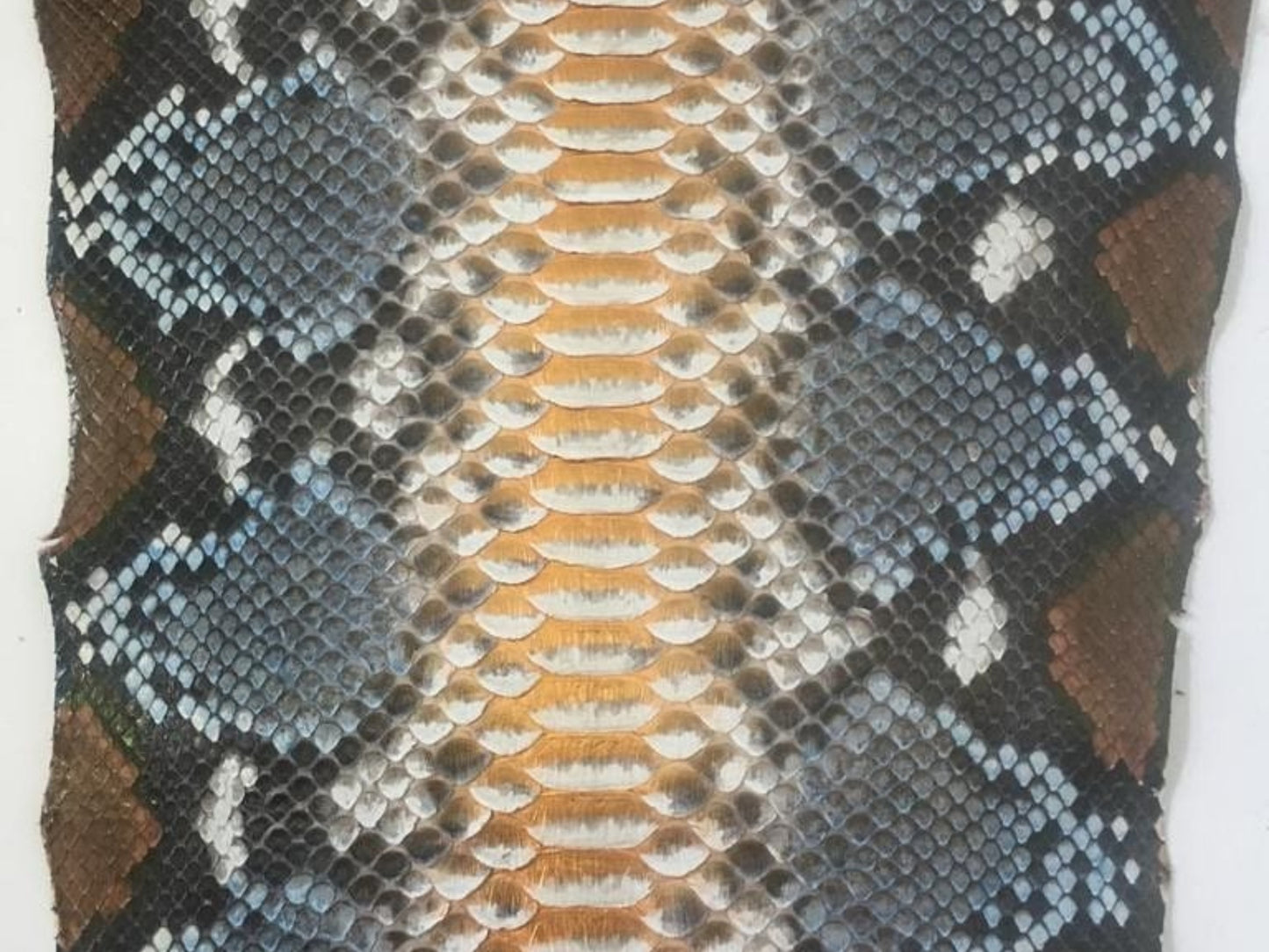 Exotic Blue Brown Python Snakeskin Leather Jacket