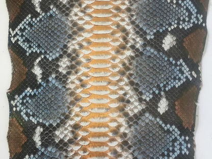 Exotic Blue Brown Python Snakeskin Leather Jacket
