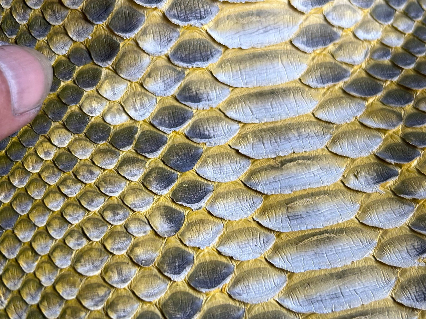 Genuine Python Snakeskin Biker Jacket: Gold Exotic Leather Motorcycle Jacket