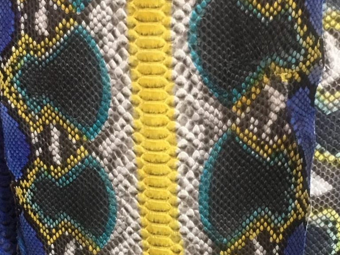 Multicolor Exotic Yellow Python Snakeskin Jacket