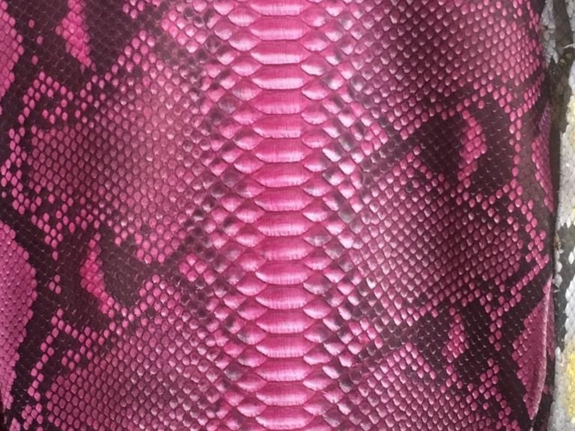 Pink Burgundy Python Snakeskin Leather Jacket