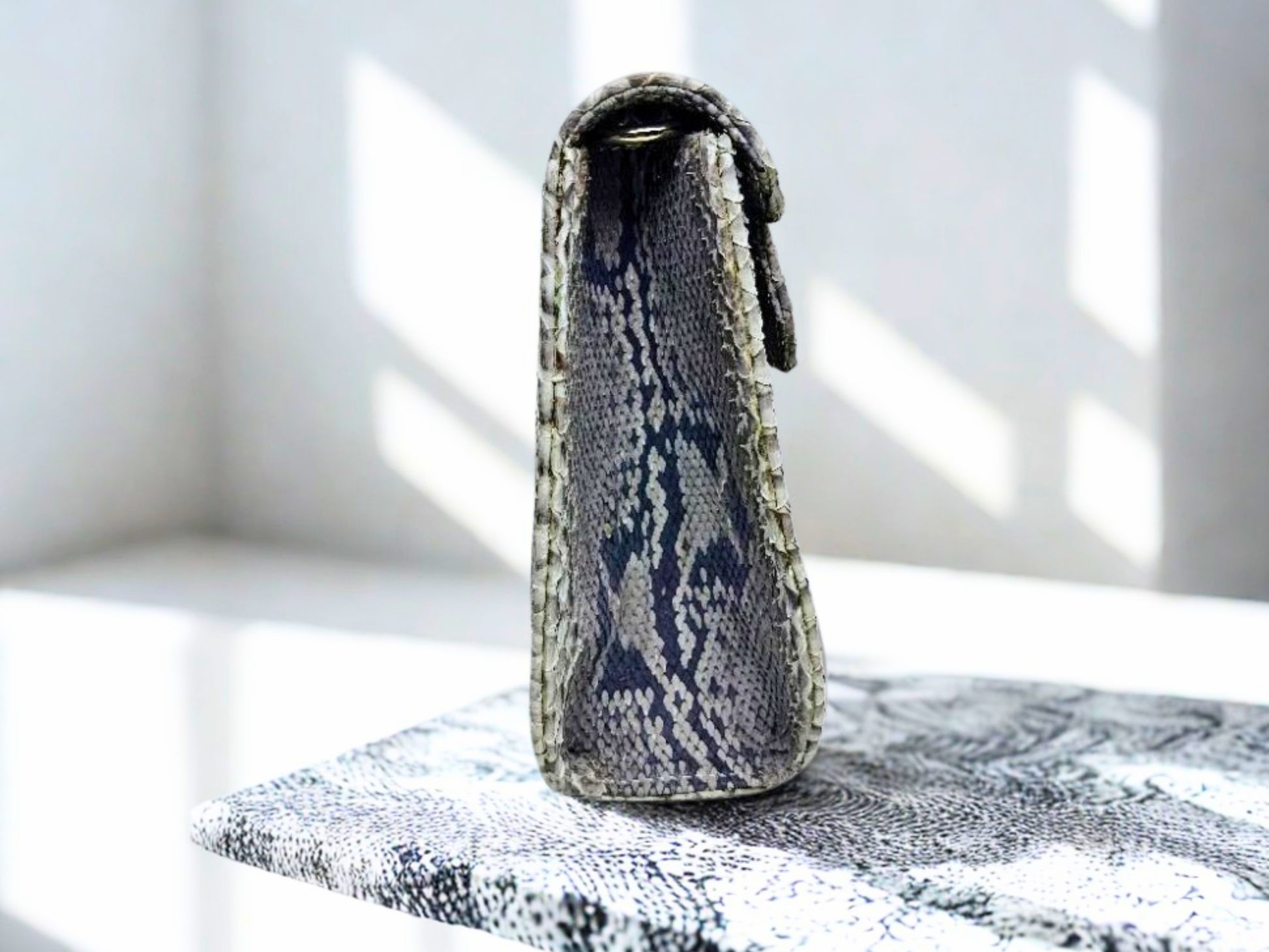 Designer Python Clutch Bags on side view at office table