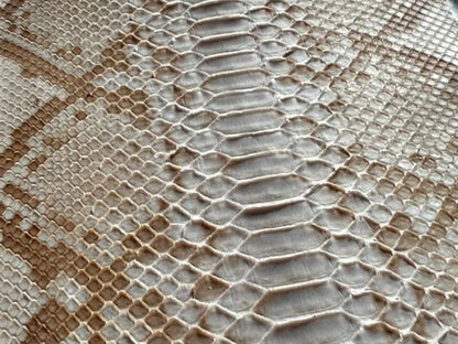 Taupe Beige Python Snakeskin Bomber Jacket