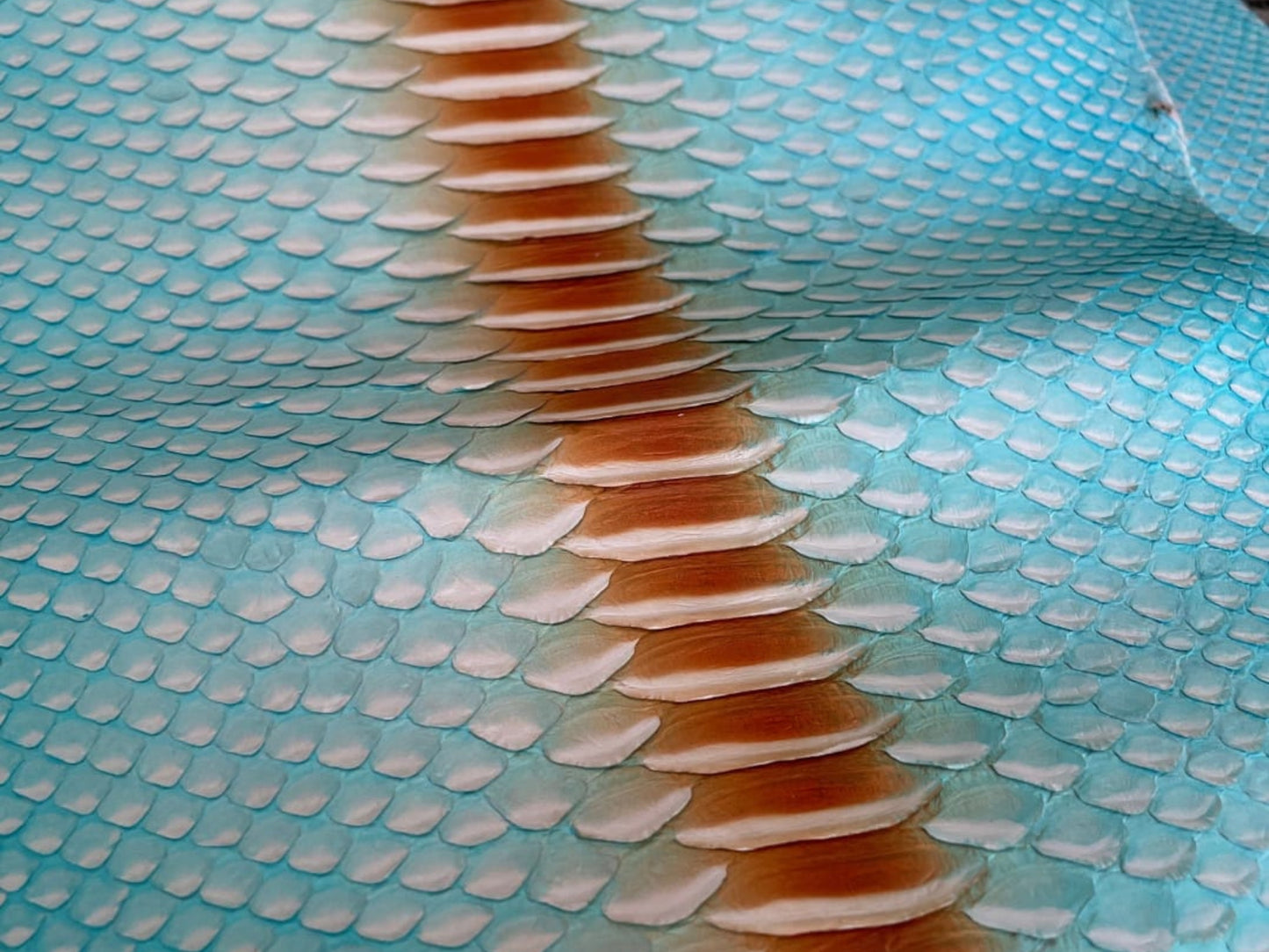 Turquoise Python Snakeskin Leather Jacket