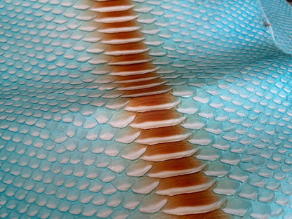 Turquoise Python Snakeskin Leather Jacket