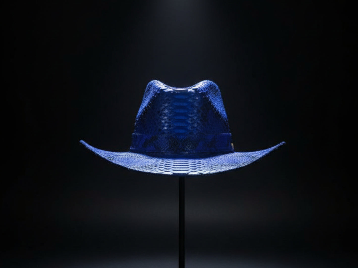 Genuine Python Snakeskin Cowboy Hat