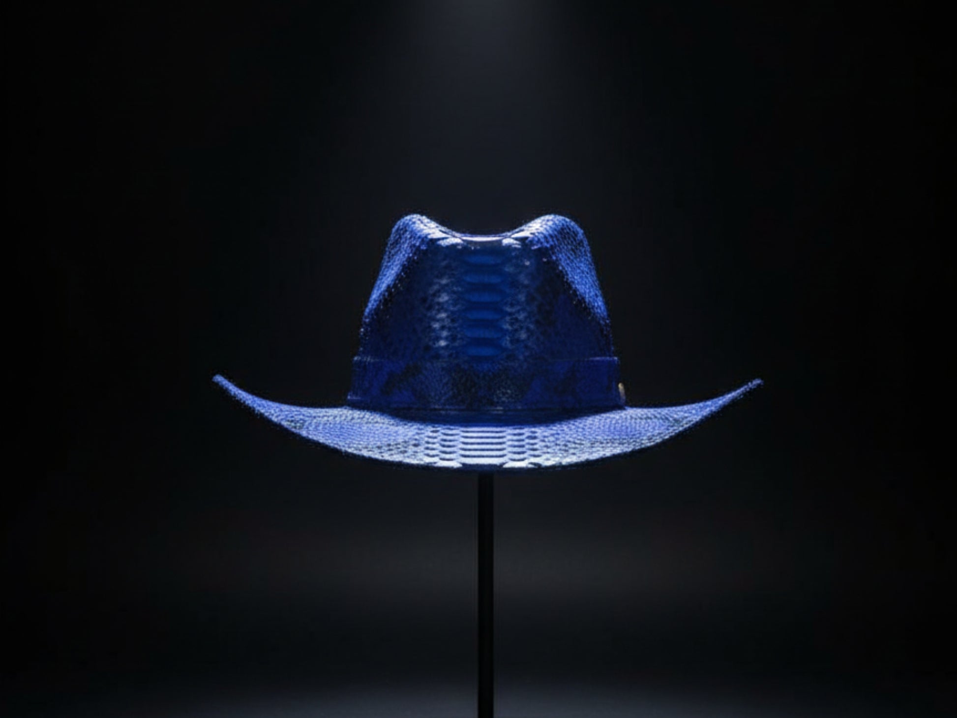 Genuine Python Snakeskin Cowboy Hat