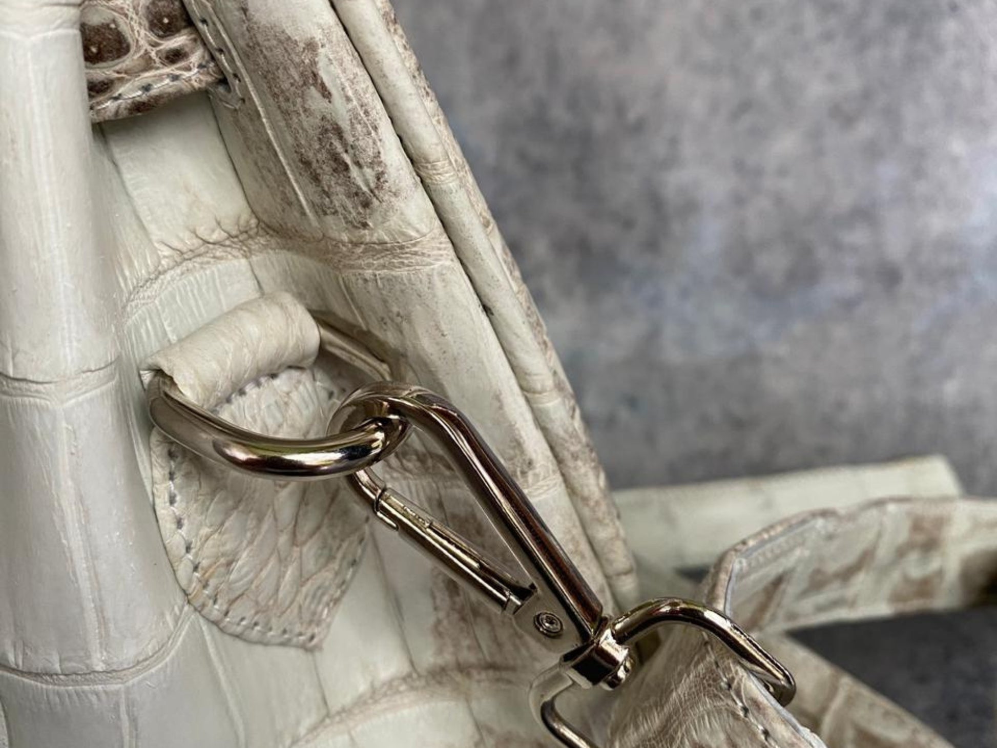 Himalayan Crocodile Birkin Bag