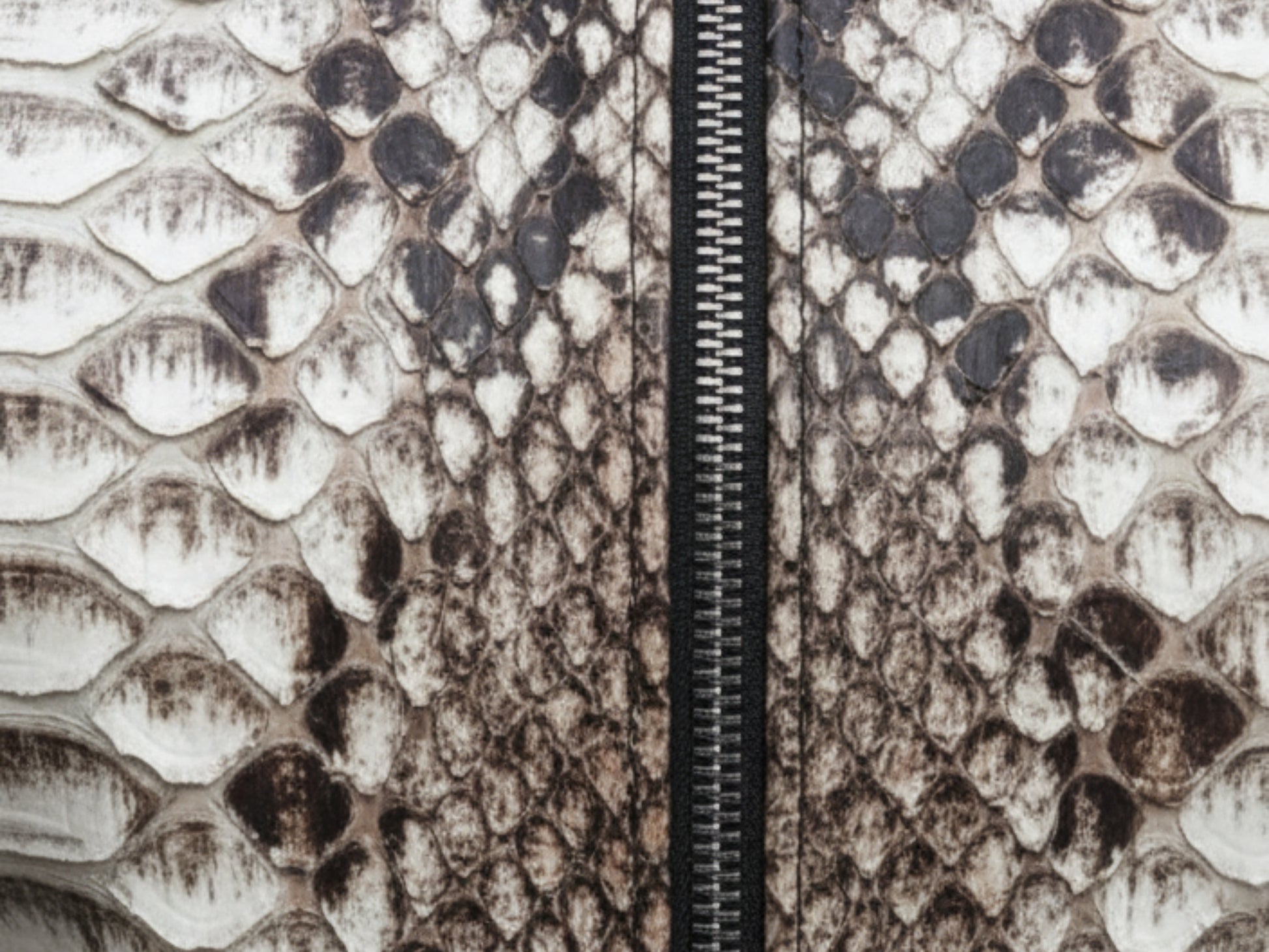 Genuine Python Snakeskin Women Biker Jacket: Real Exotic Zip Up Leather Jackets