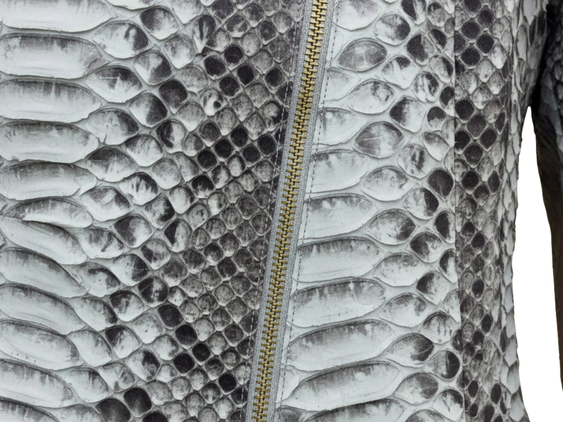 Genuine Python Snakeskin Jacket: Asymmetrical Zip
