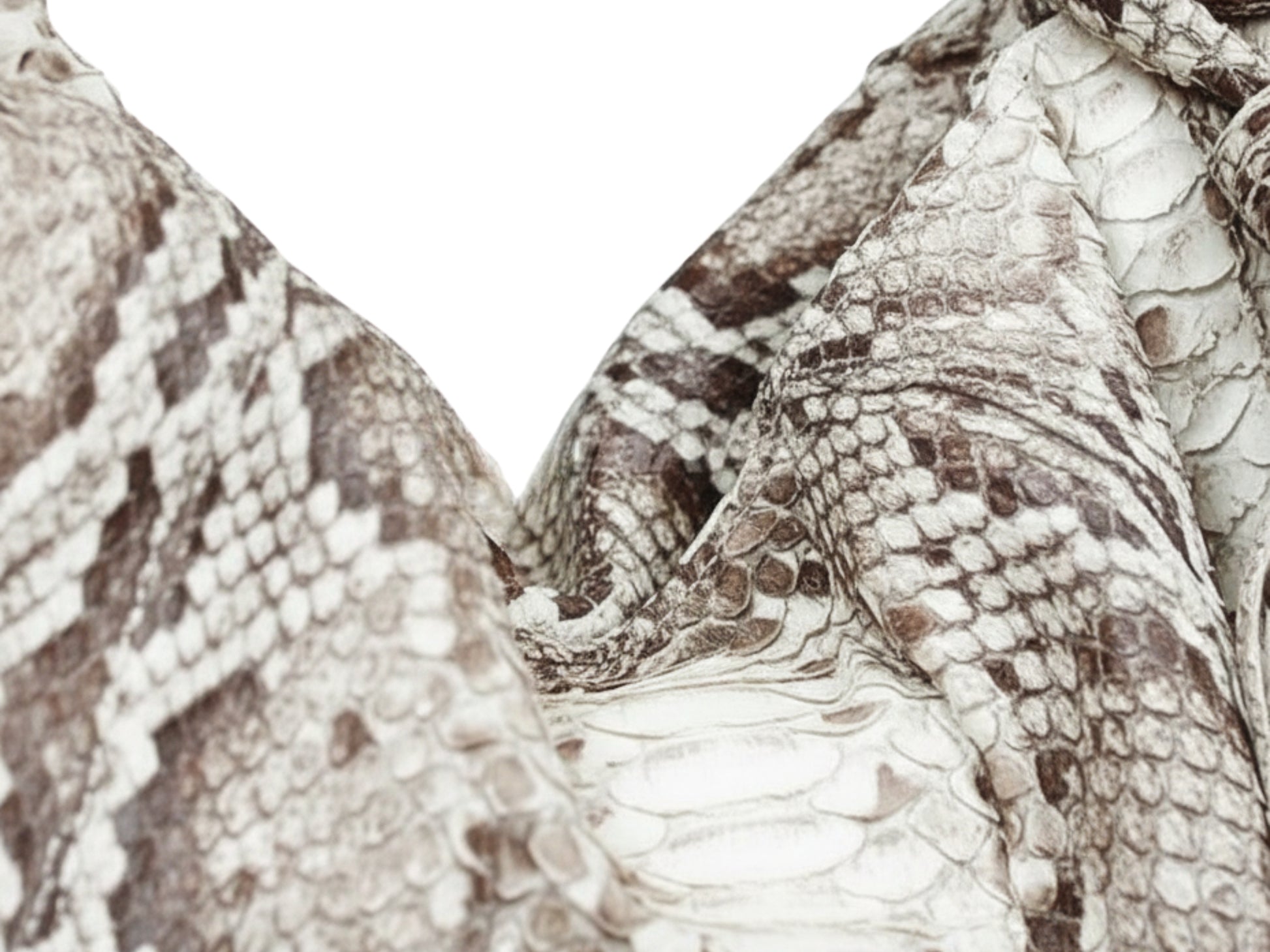 Genuine Python Snakeskin Shoulder Bag for Women