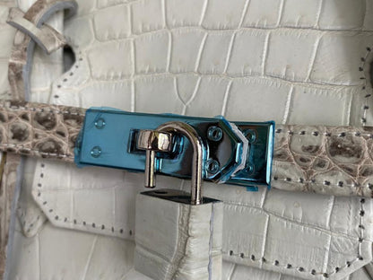 Himalayan Crocodile Birkin Bag