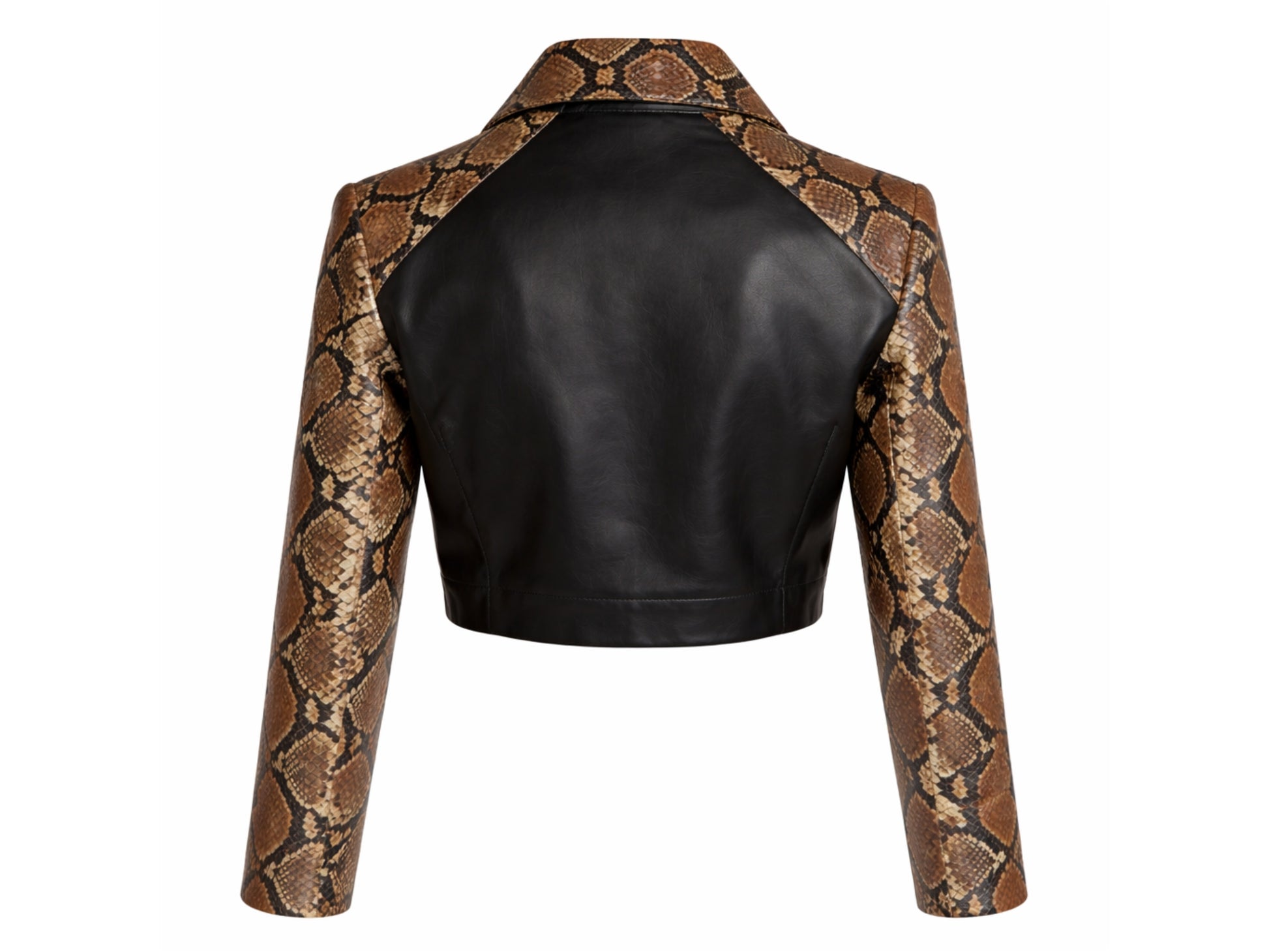 Back view of cropped leather jacket with snakeskin sleeves and black lambskin body