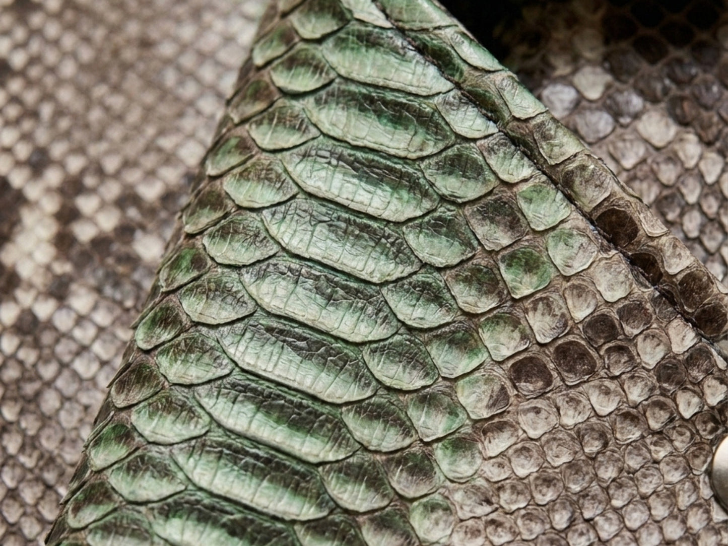 Genuine Python Snakeskin Leather Biker Jacket: Natural Gray with Green Gradation