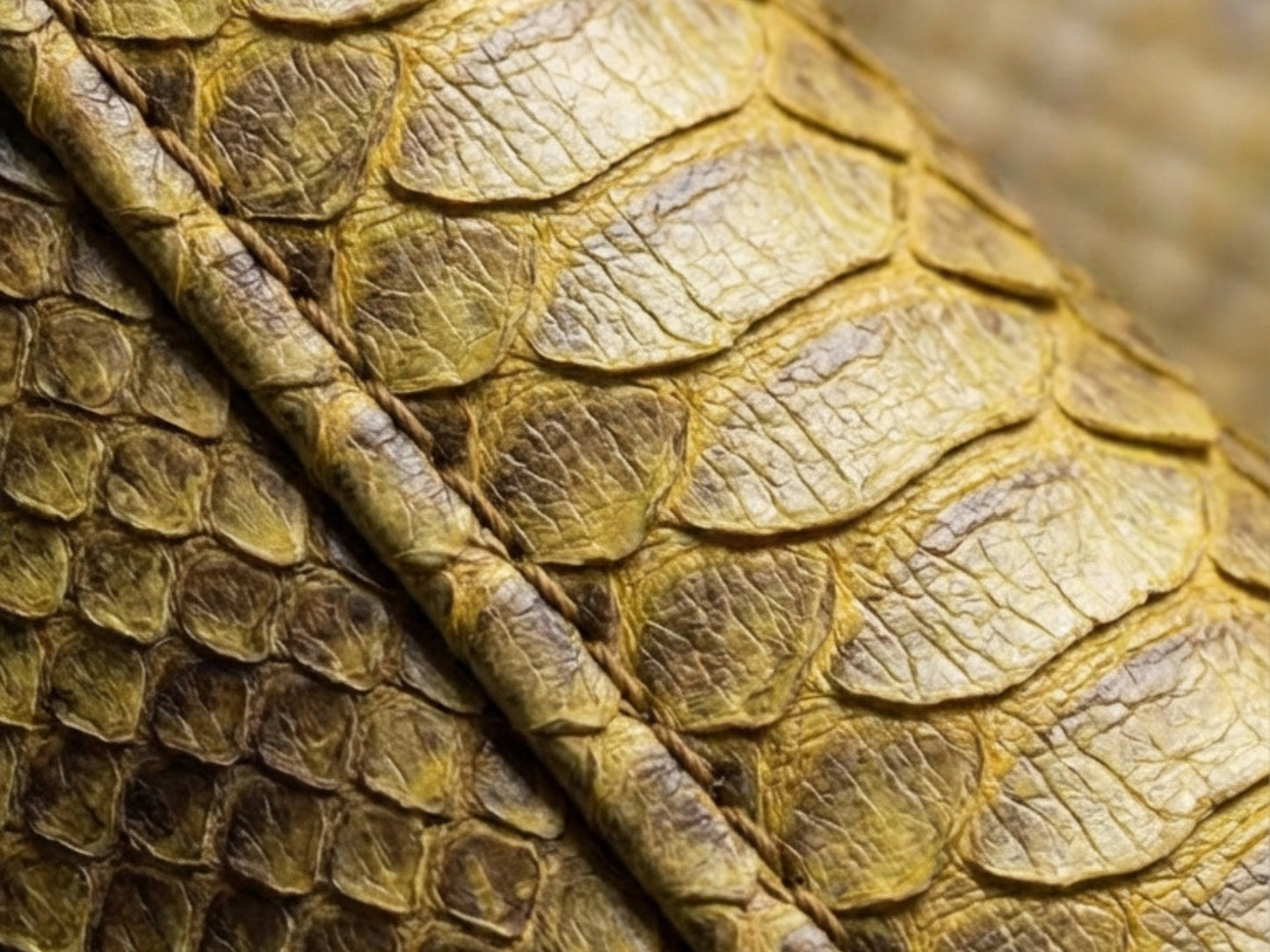 Genuine Python Snakeskin Biker Jacket: Gold Exotic Leather Motorcycle Jacket