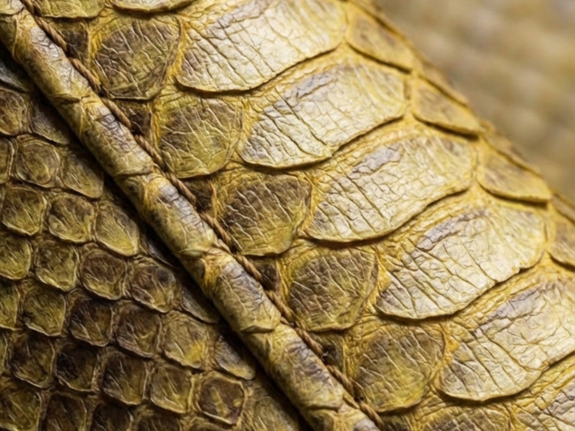 Genuine Python Snakeskin Biker Jacket: Gold Exotic Leather Motorcycle Jacket