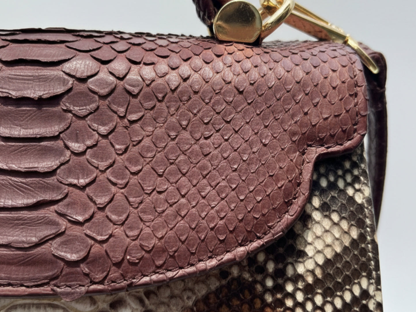 Brown Genuine Python Snakeskin Satchel Bag for Women: Exotic Leather Handbag