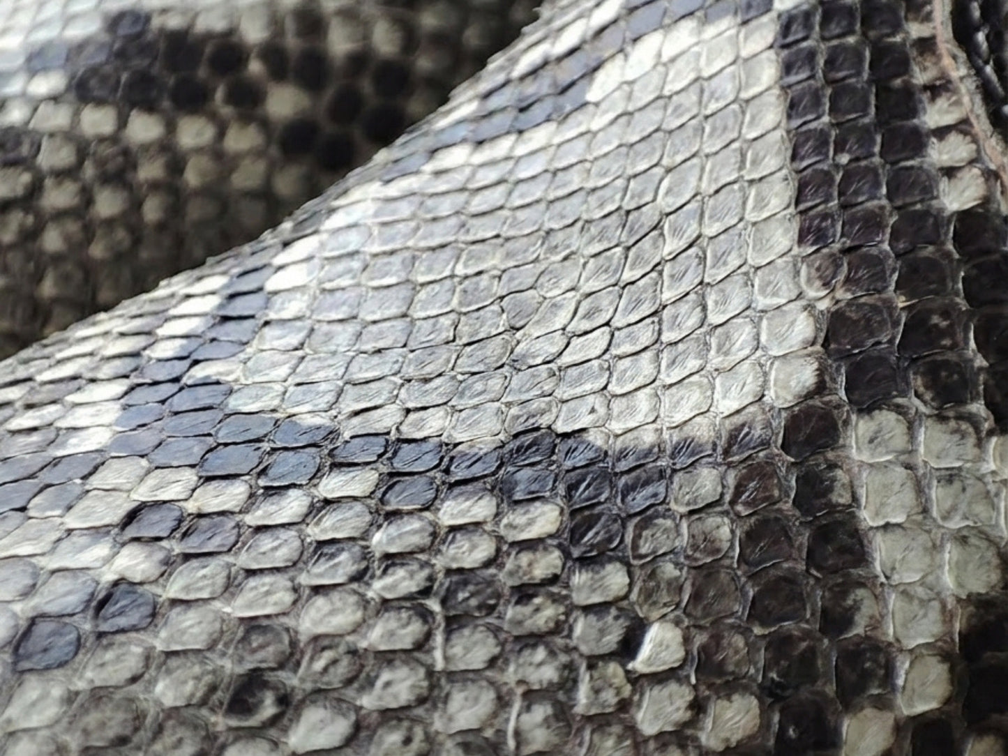 Natural Gray Snakeskin Python Leather Boots