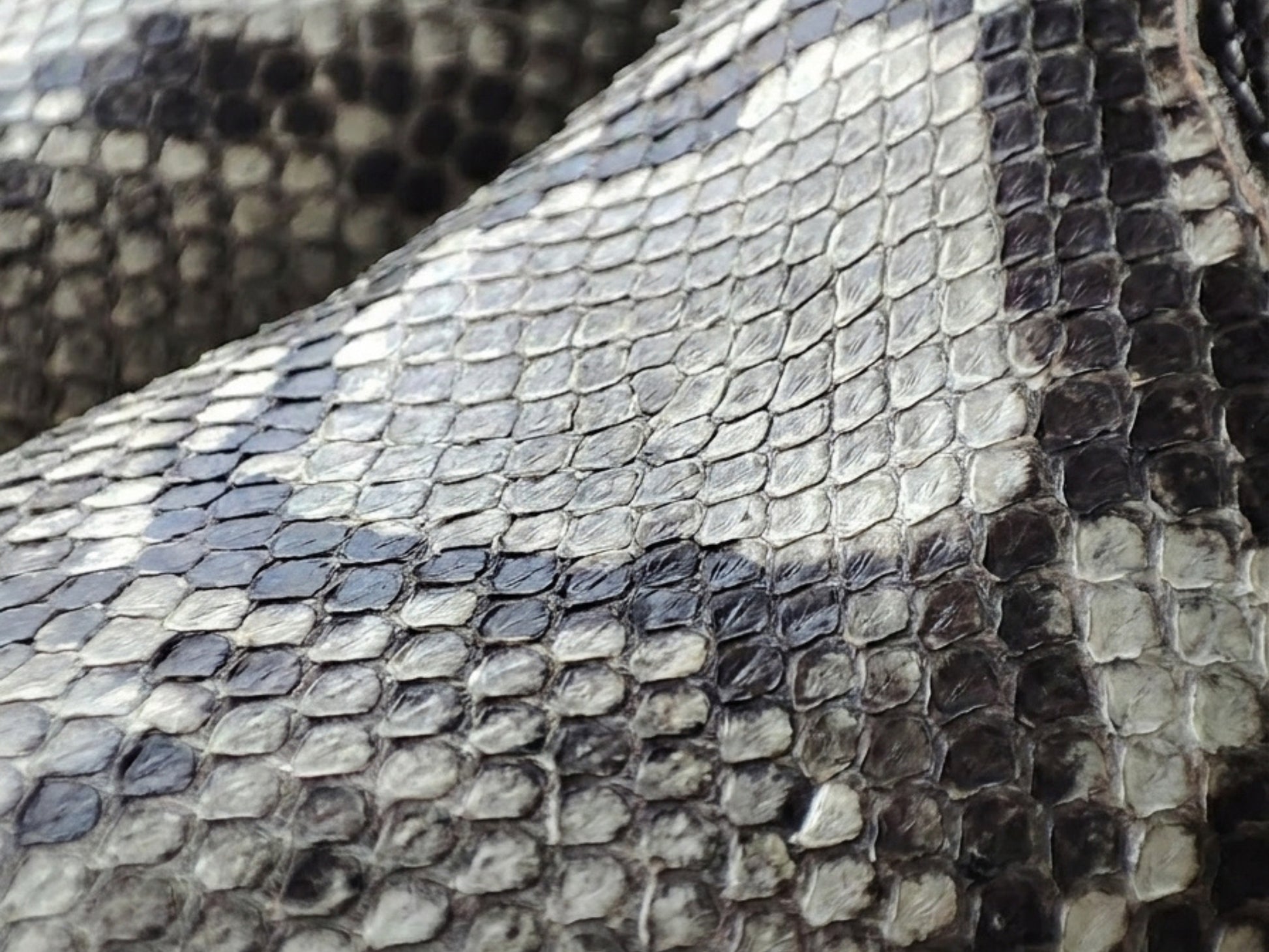 Natural Gray Snakeskin Python Leather Boots