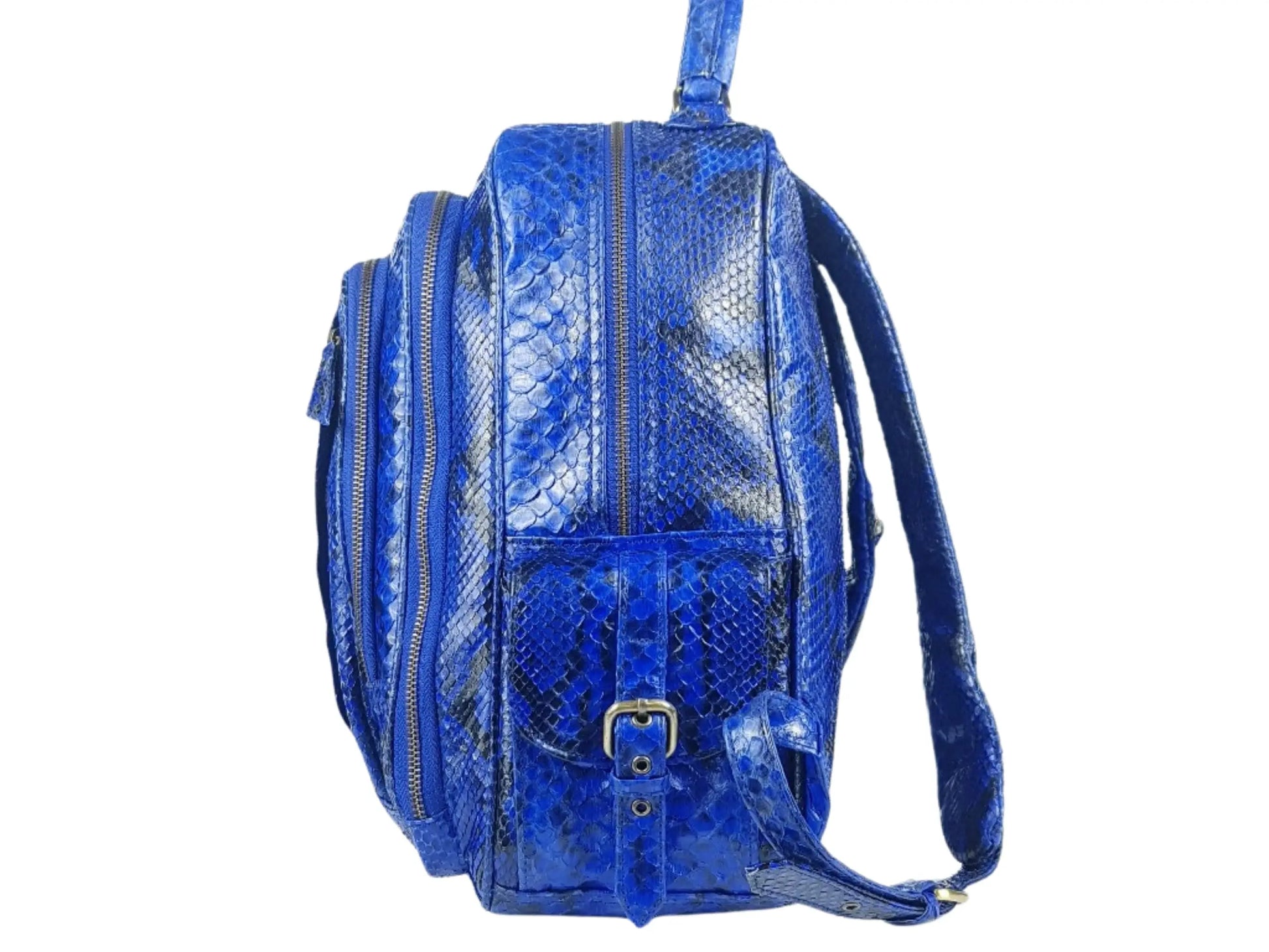 Blue Snakeskin Backpack 5