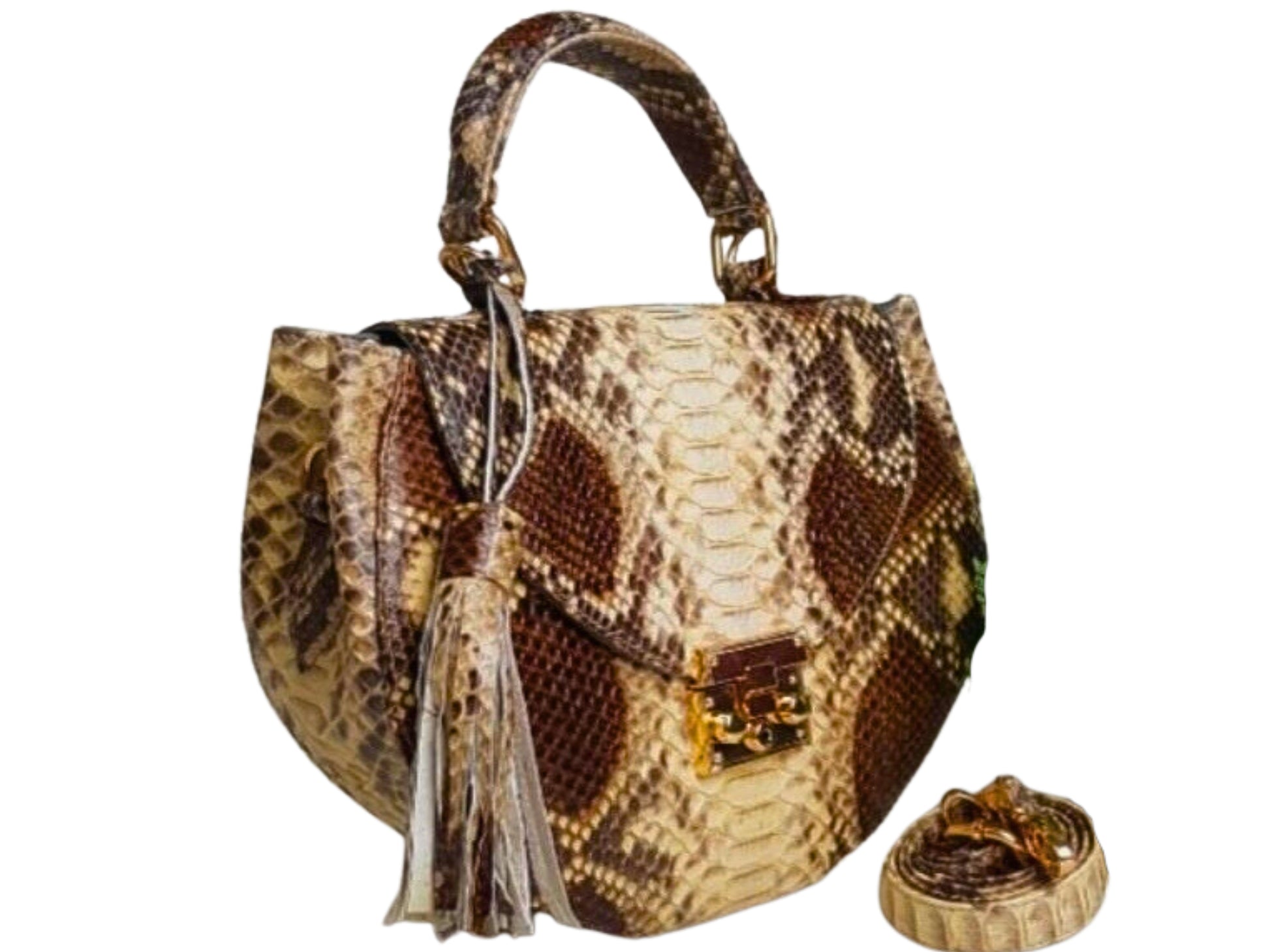 Oval Snakeskin Satchel Handbag - Beige