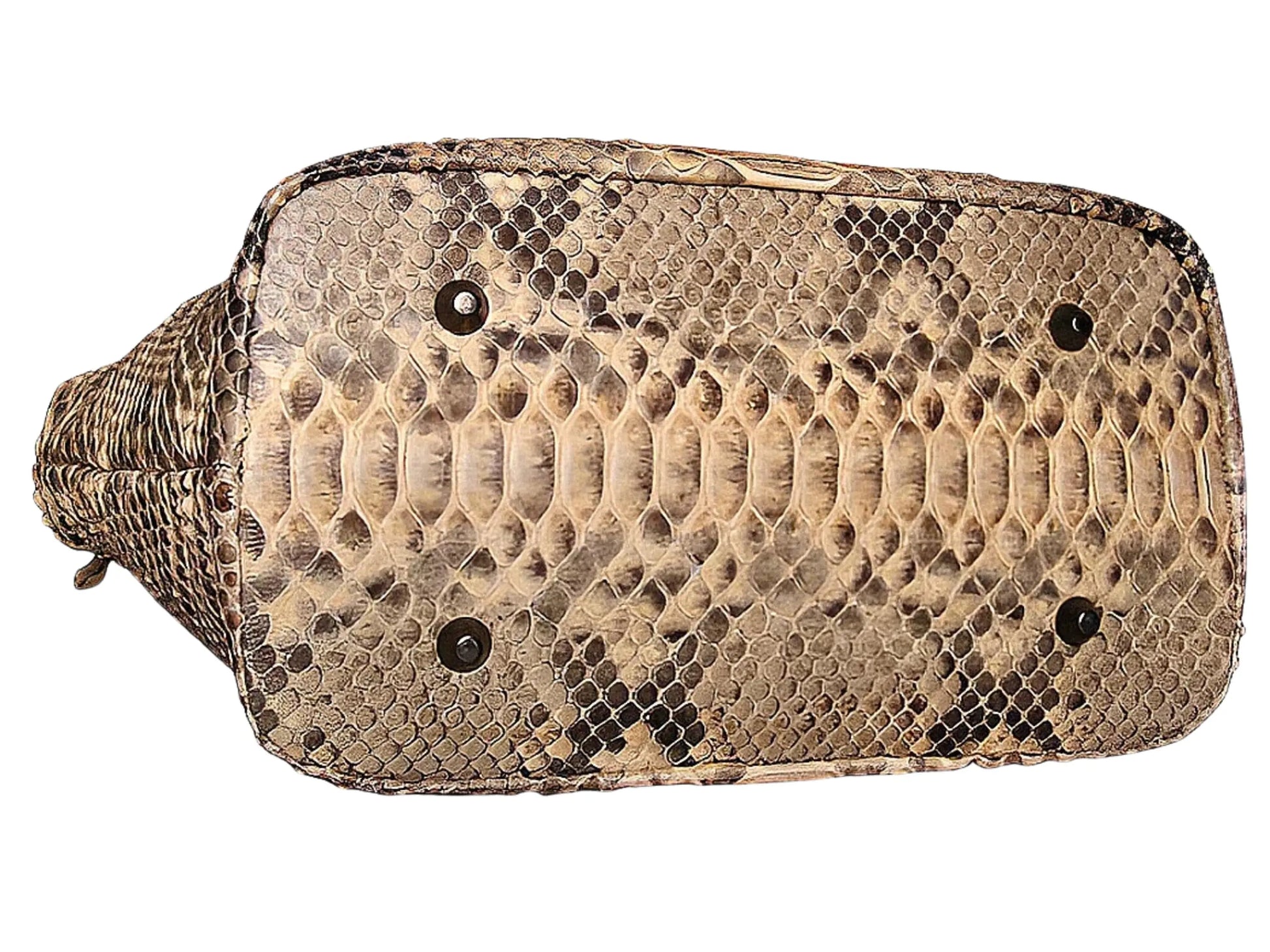 Cute Snakeskin Tote Leather Handbag - Python Jacket by LFM Fashion