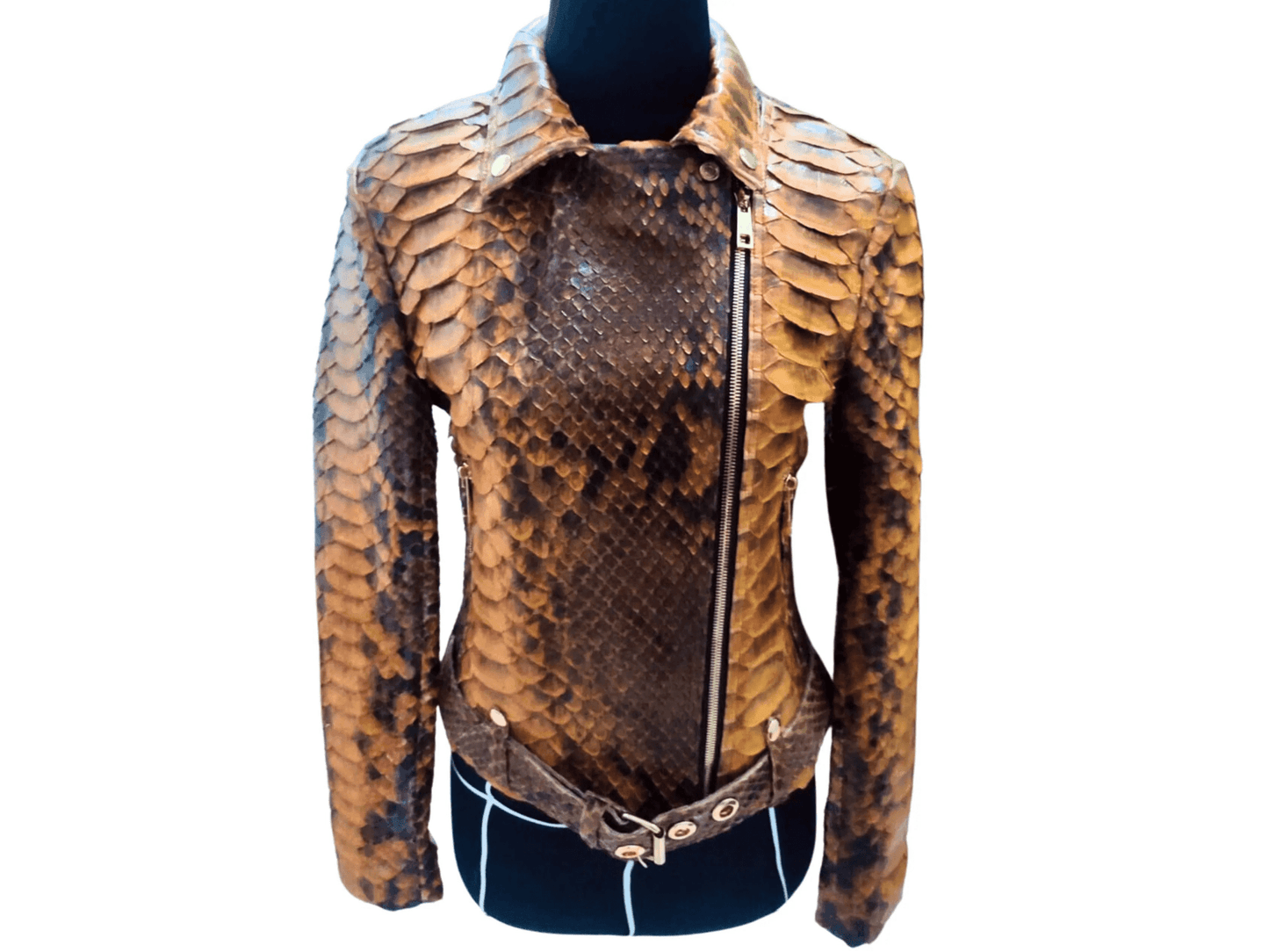 Brown Motorcycle Leather Jacket King Scales - Python Jacket by LFM Fashion