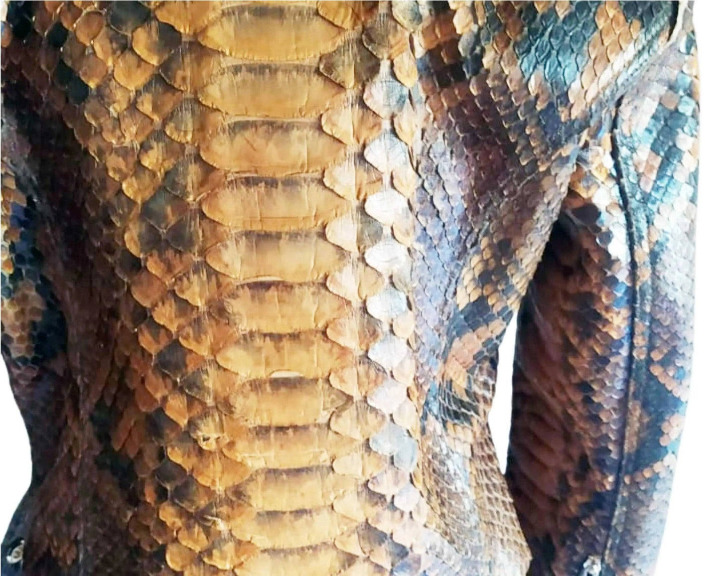 Brown Motorcycle Leather Jacket King Scales - Python Jacket by LFM Fashion