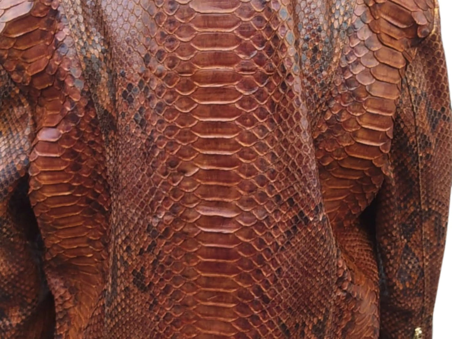 Brown Motorcycle Leather Jacket | King Snakeskin Python Leather Scales - Python Jacket by LFM Fashion
