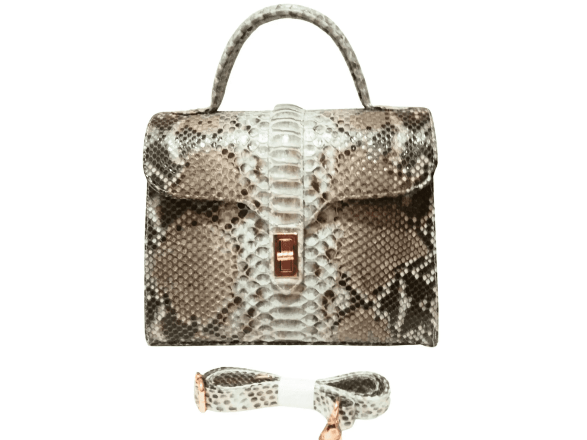 Gray Snakeskin Purses Chain Strap - Python Jacket by LFM Fashion