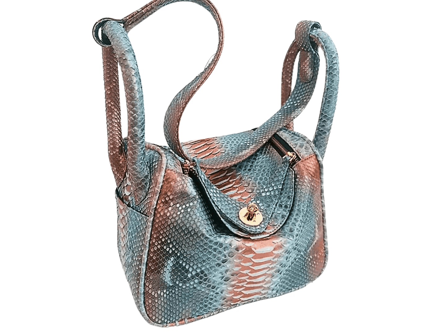 Hermes Snakeskin Lindy Bag 25 - Python Jacket by LFM Fashion