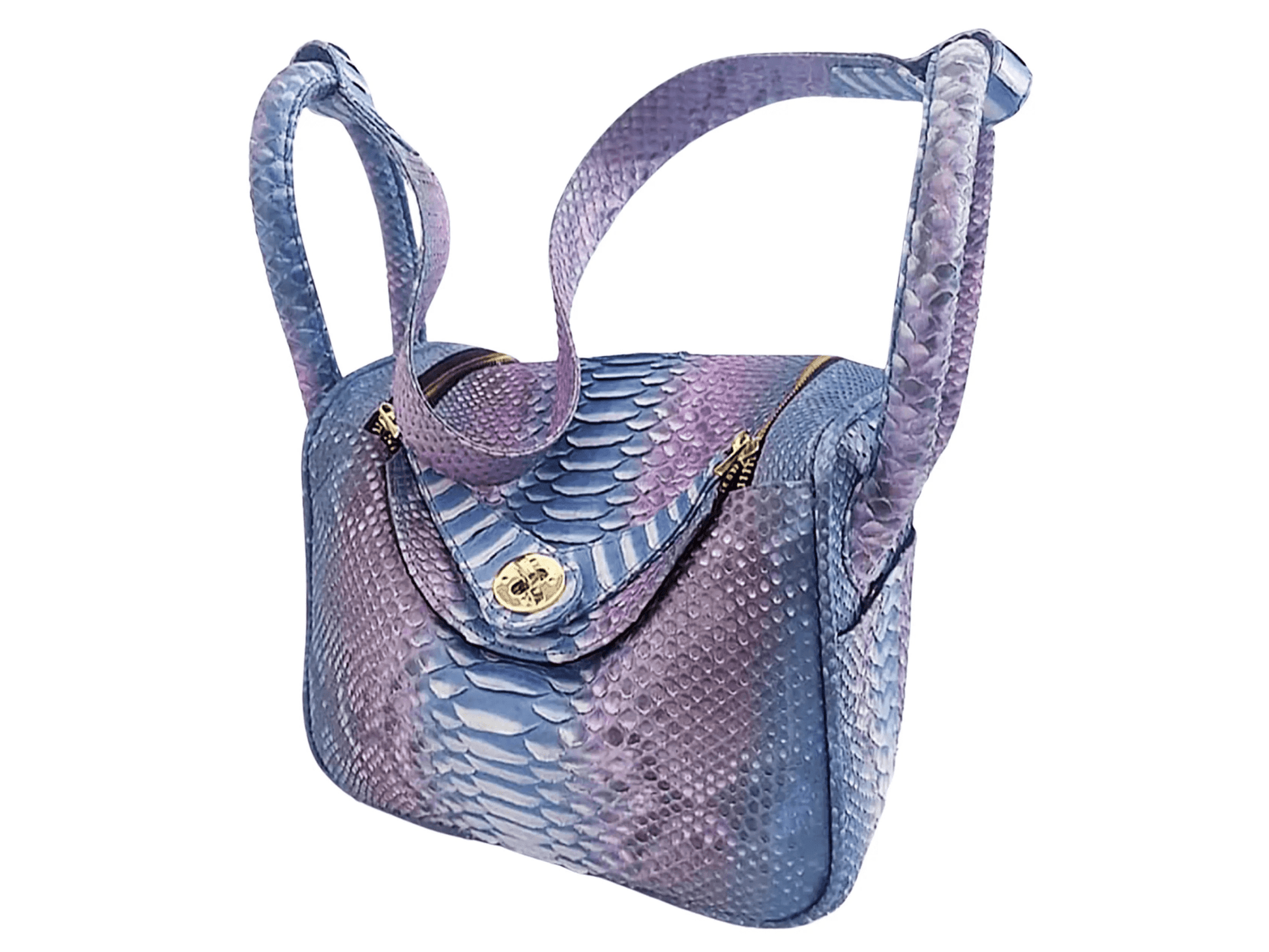 Hermes Snakeskin Lindy Bag 25 - Python Jacket by LFM Fashion