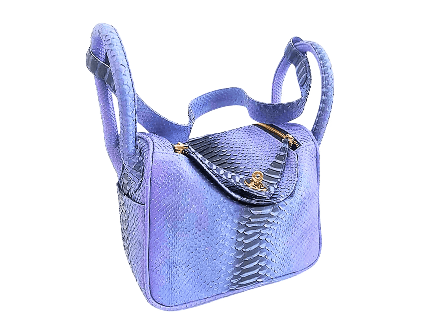 Hermes Snakeskin Lindy Bag 25 - Python Jacket by LFM Fashion