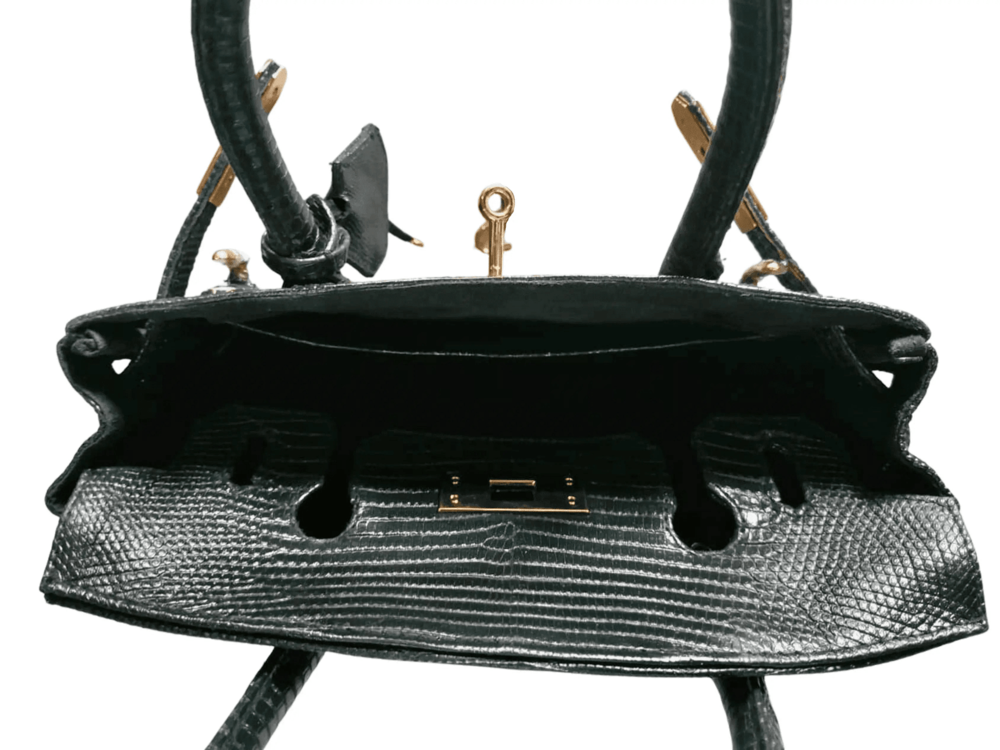 Lizard Birkin 25 - Python Jacket by LFM Fashion