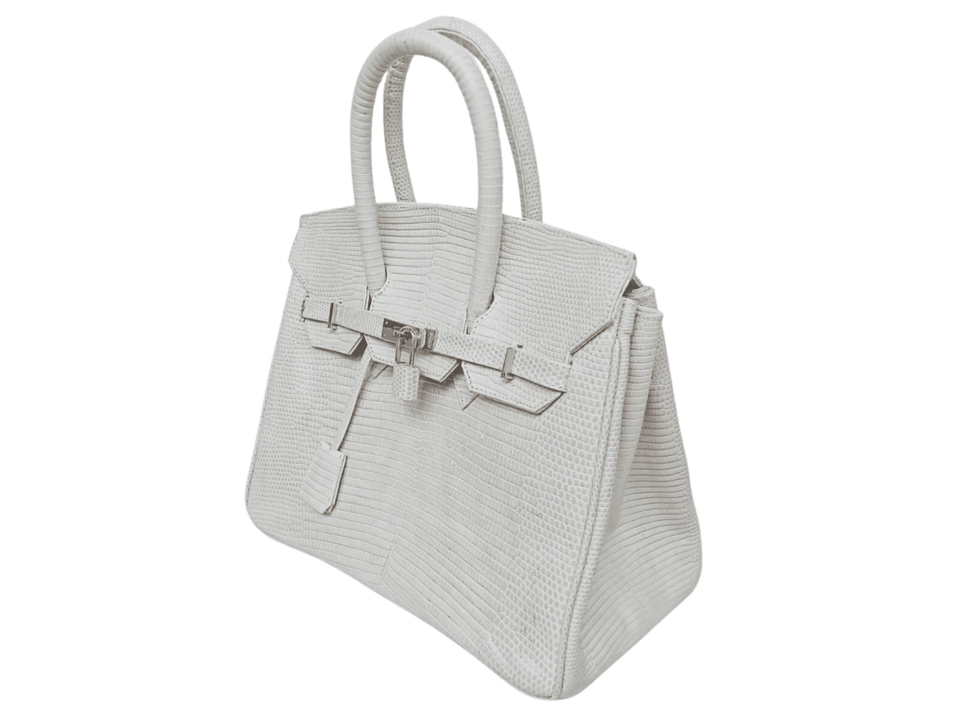 Lizard Birkin 25 - Python Jacket by LFM Fashion