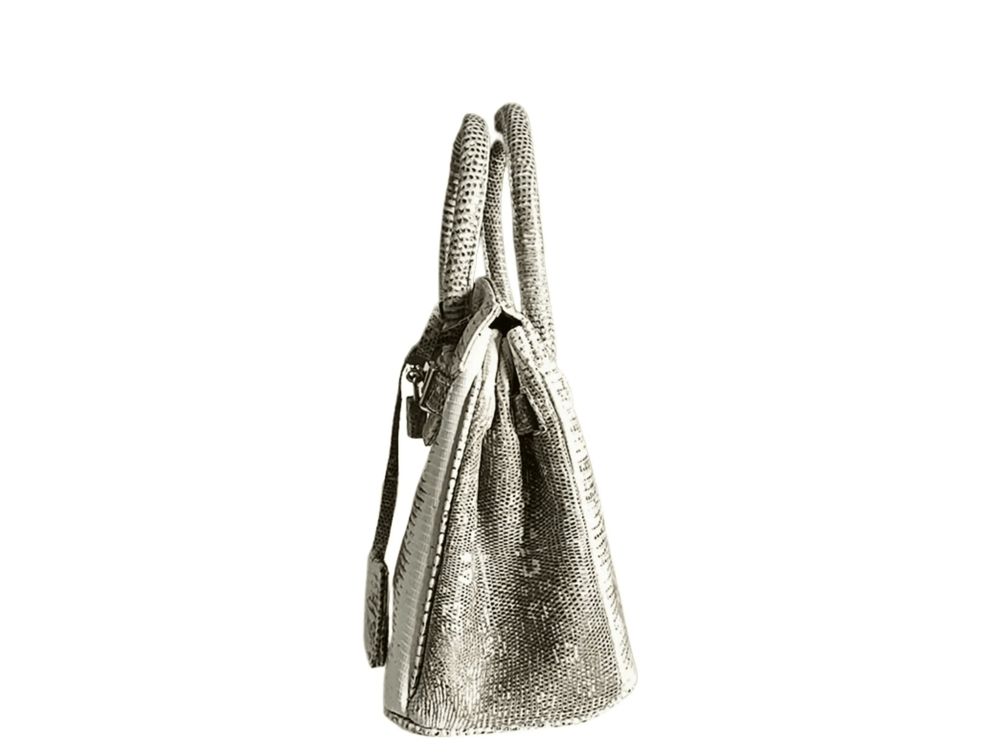 Lizard Birkin 25 - Python Jacket by LFM Fashion