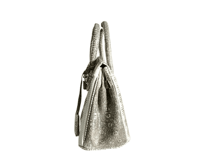 Lizard Birkin 25 - Python Jacket by LFM Fashion