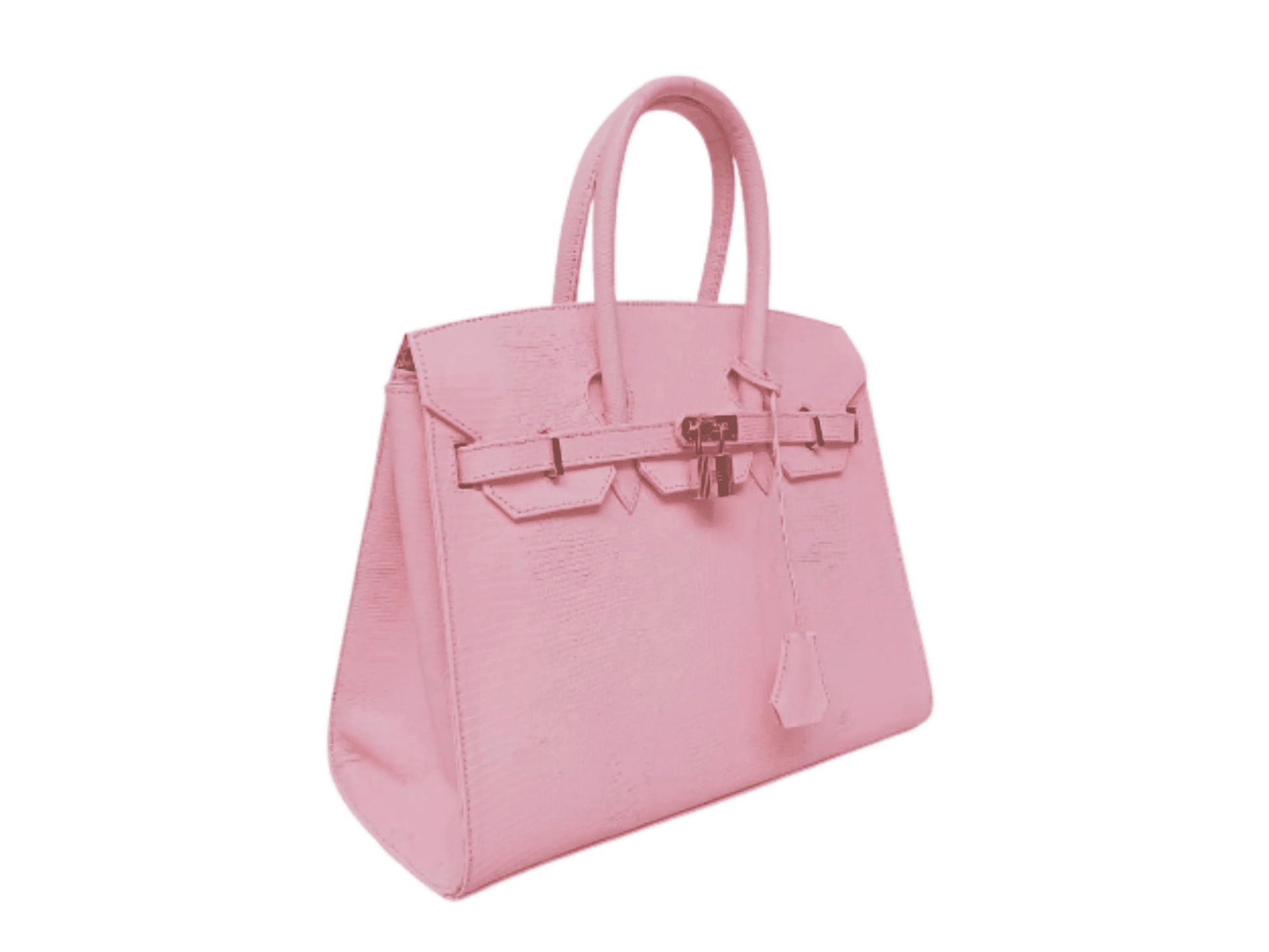 Lizard Birkin 25 - Python Jacket by LFM Fashion