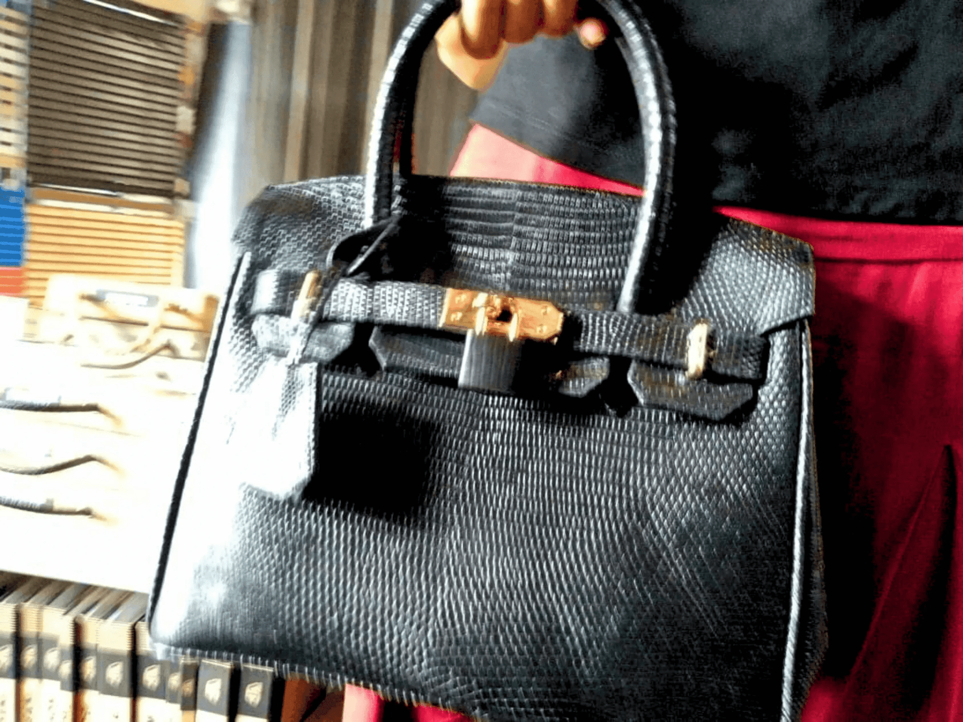 Lizard Birkin 25 - Python Jacket by LFM Fashion