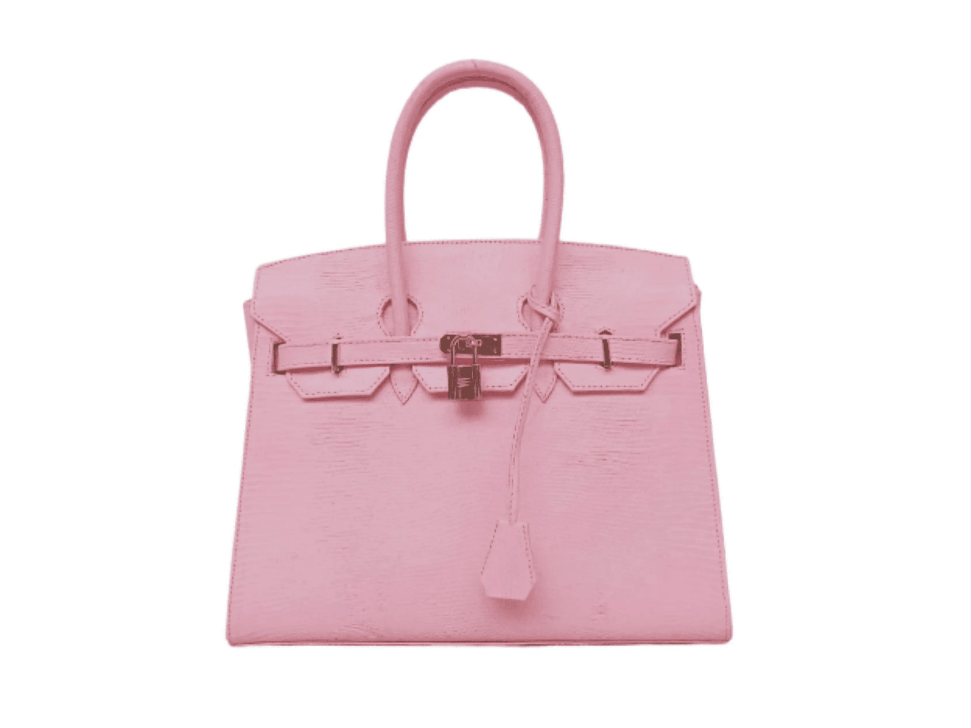 Lizard Birkin 25 - Python Jacket by LFM Fashion