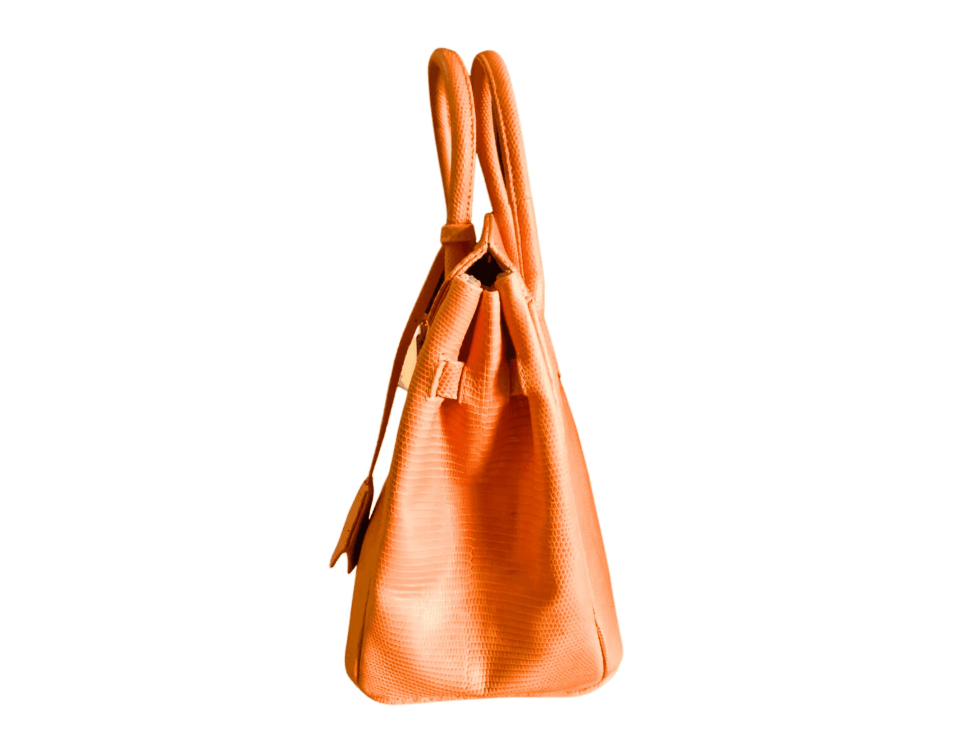 Lizard Birkin 25 - Python Jacket by LFM Fashion