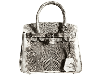 Lizard Birkin 25 - Python Jacket by LFM Fashion