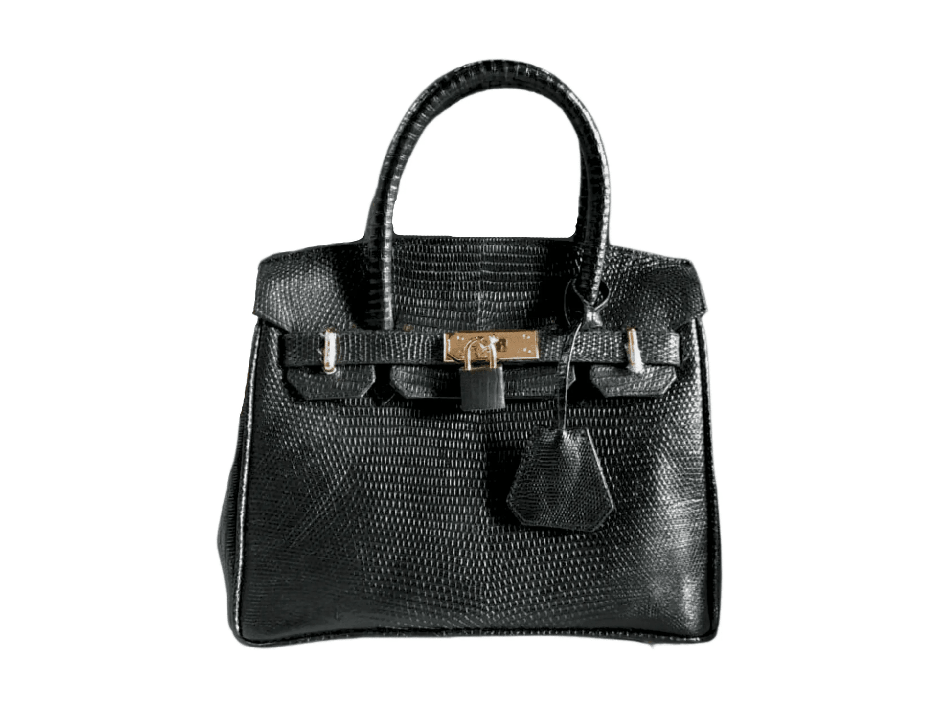 Lizard Birkin 25 - Python Jacket by LFM Fashion