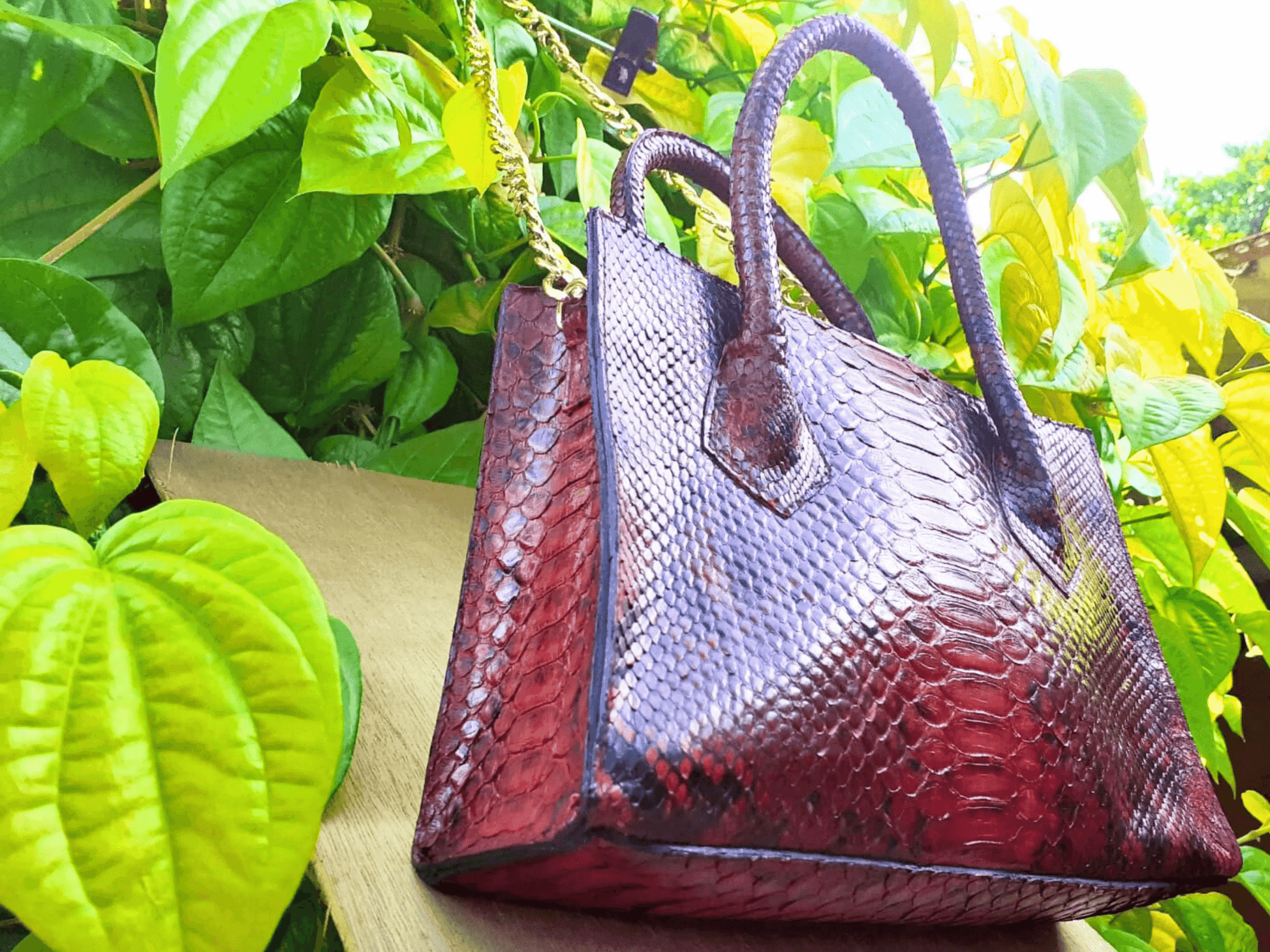 Maroon Totes Snakeskin Bag - Python Jacket by LFM Fashion