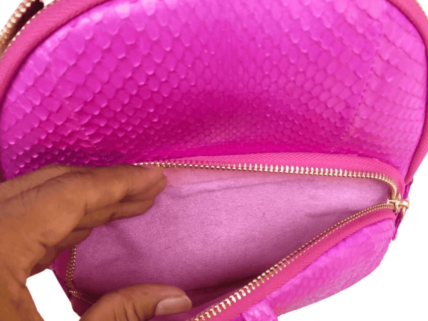 Mini Backpack Snakeskin Purse - Python Jacket by LFM Fashion