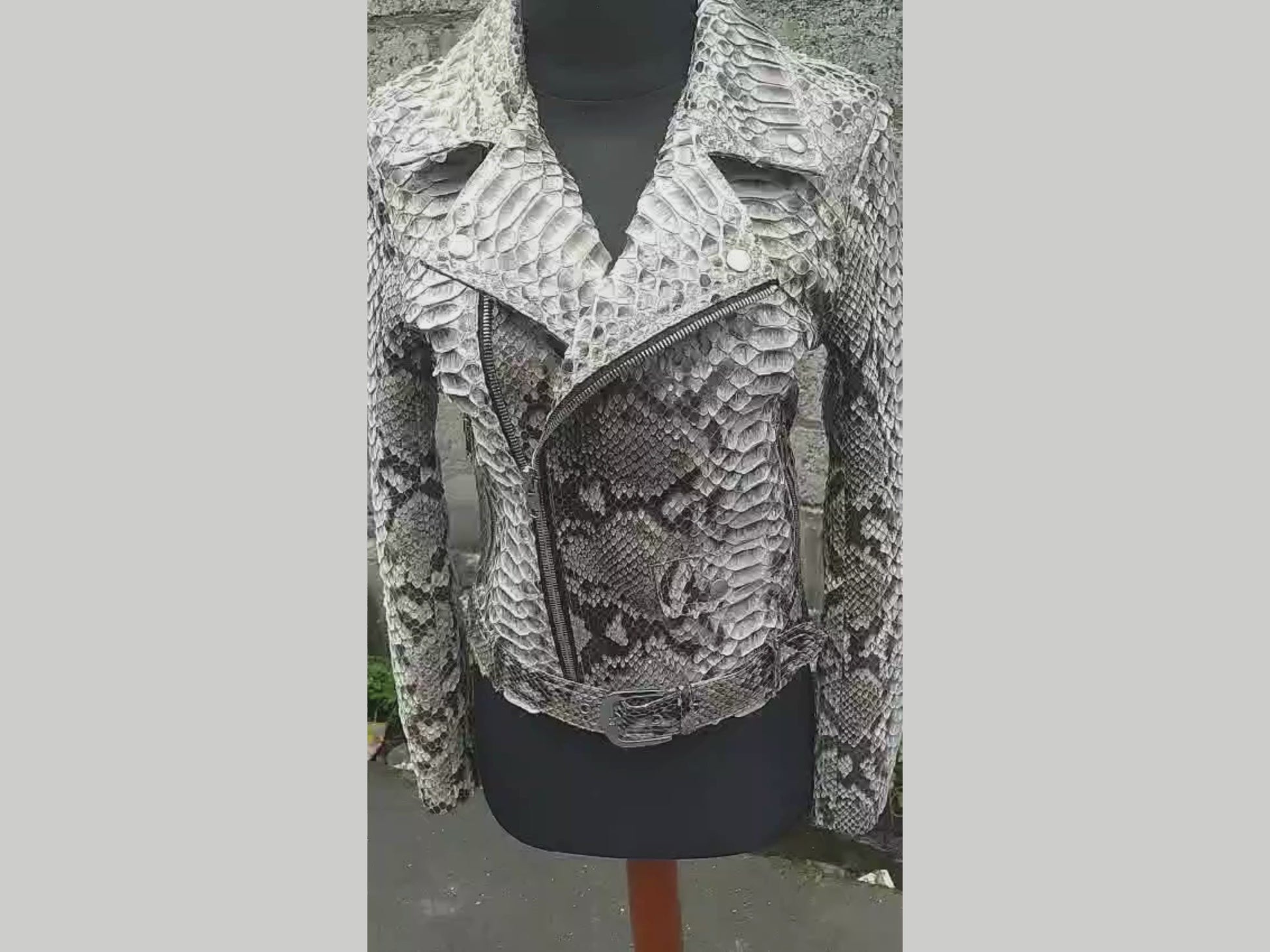 Snakeskin Biker Jacket with Belted Accent