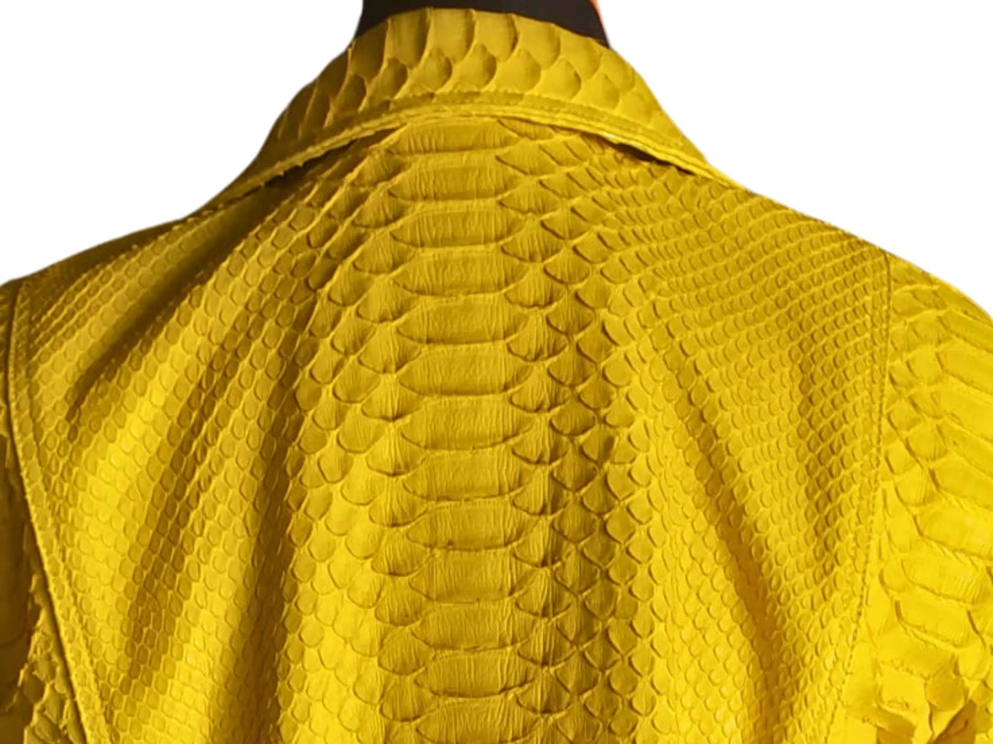 Snakeskin Jacket CT-052 - Python Jacket by LFM Fashion