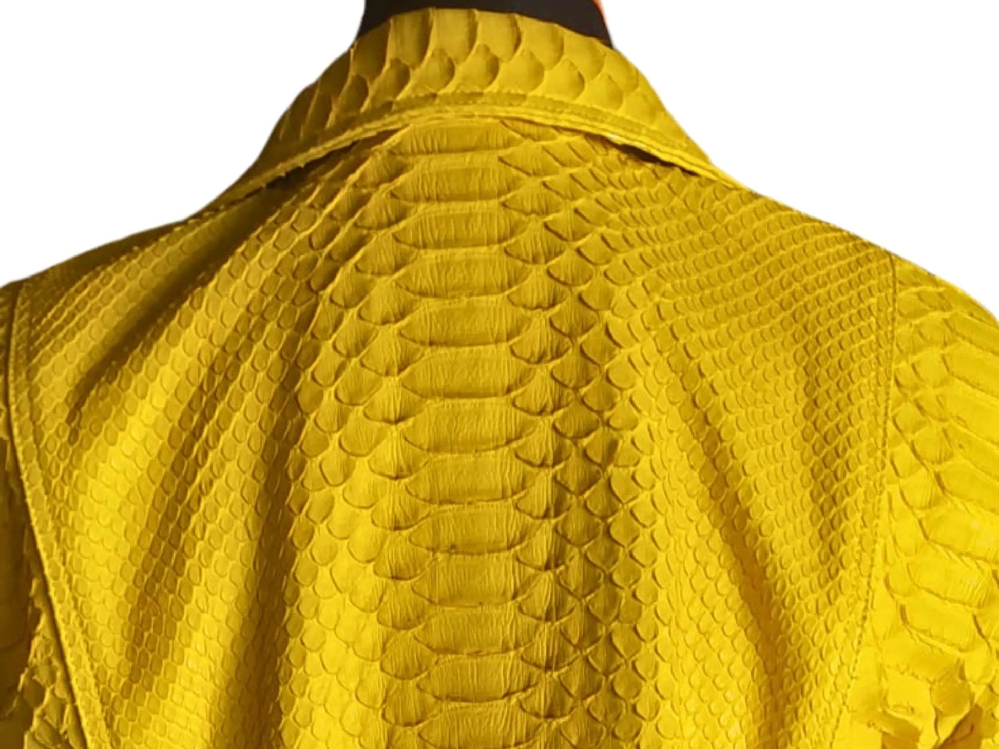 Snakeskin Jacket CT-052 - Python Jacket by LFM Fashion
