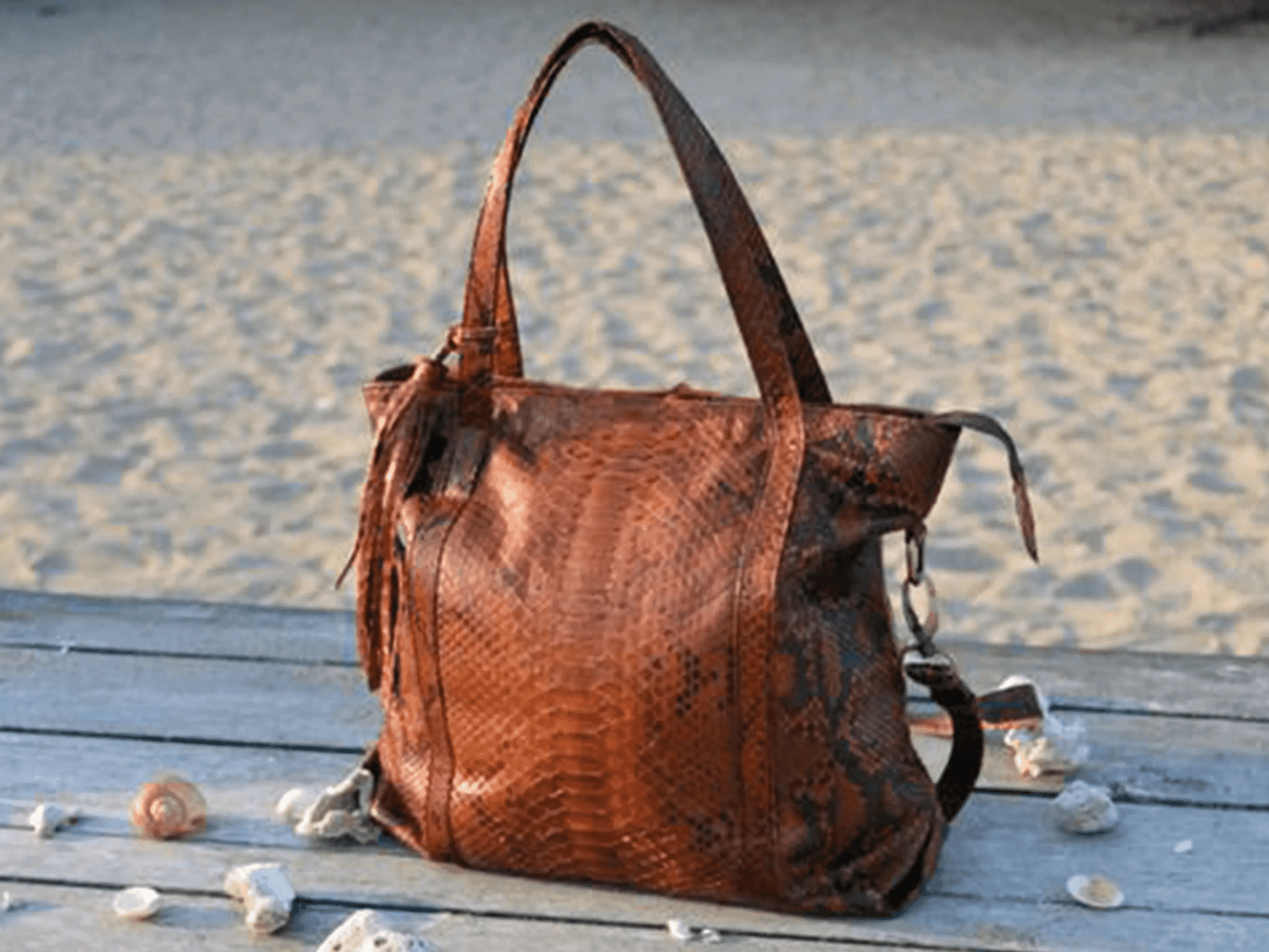 Snakeskin Tote Python Bag - Python Jacket by LFM Fashion